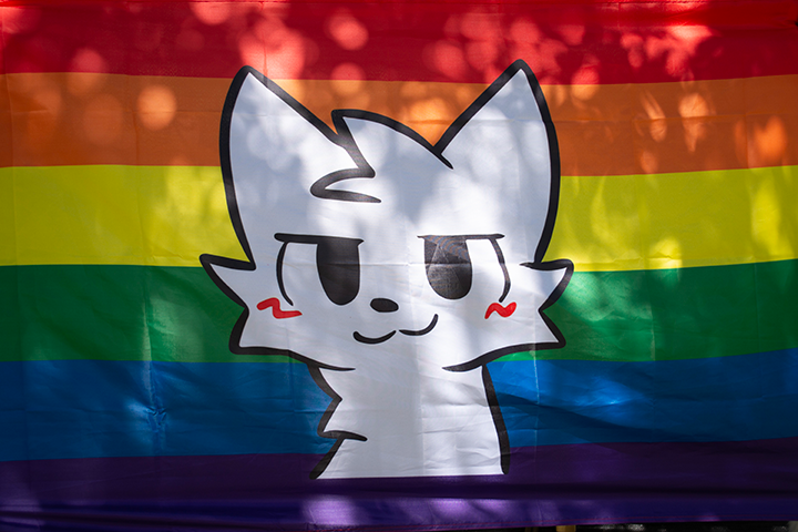 Image of person wearing boykisser pride-flags