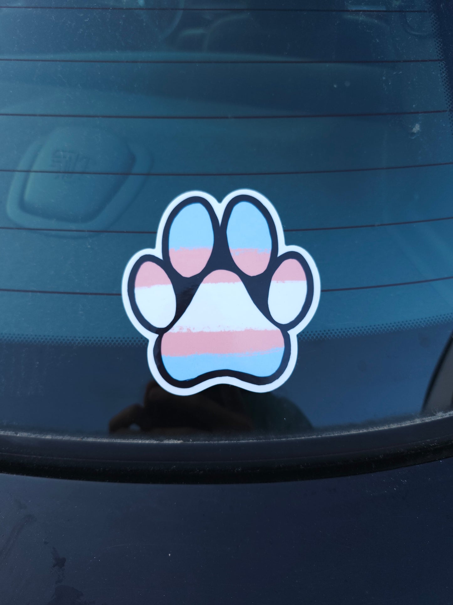 Trans paw-pad pride