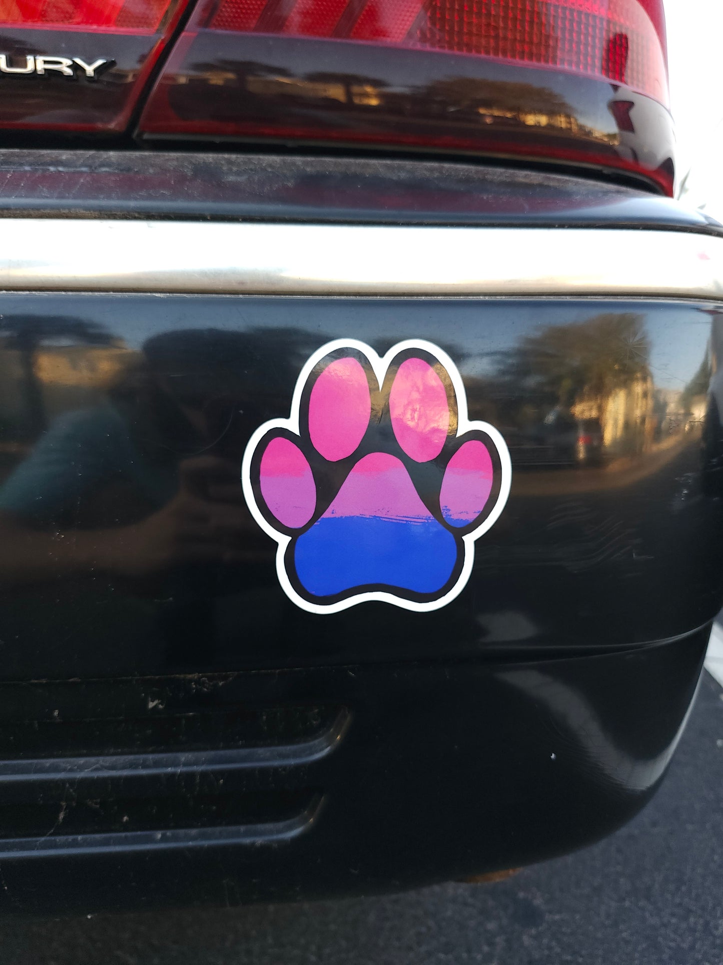 Bisexual paw-pad