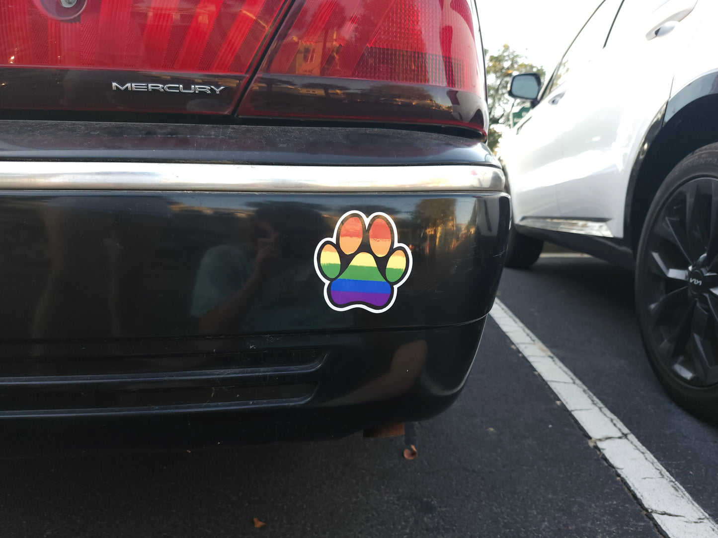 Gay paw-pad pride