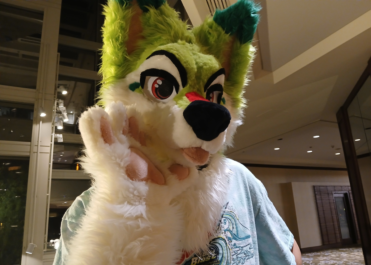 fursuit portflio – YchFursuits
