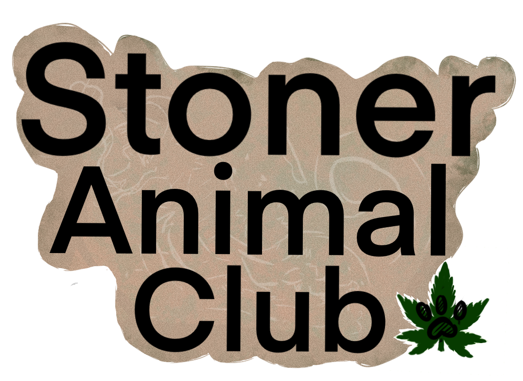 Stoner Animal Club Bumper-Sticker