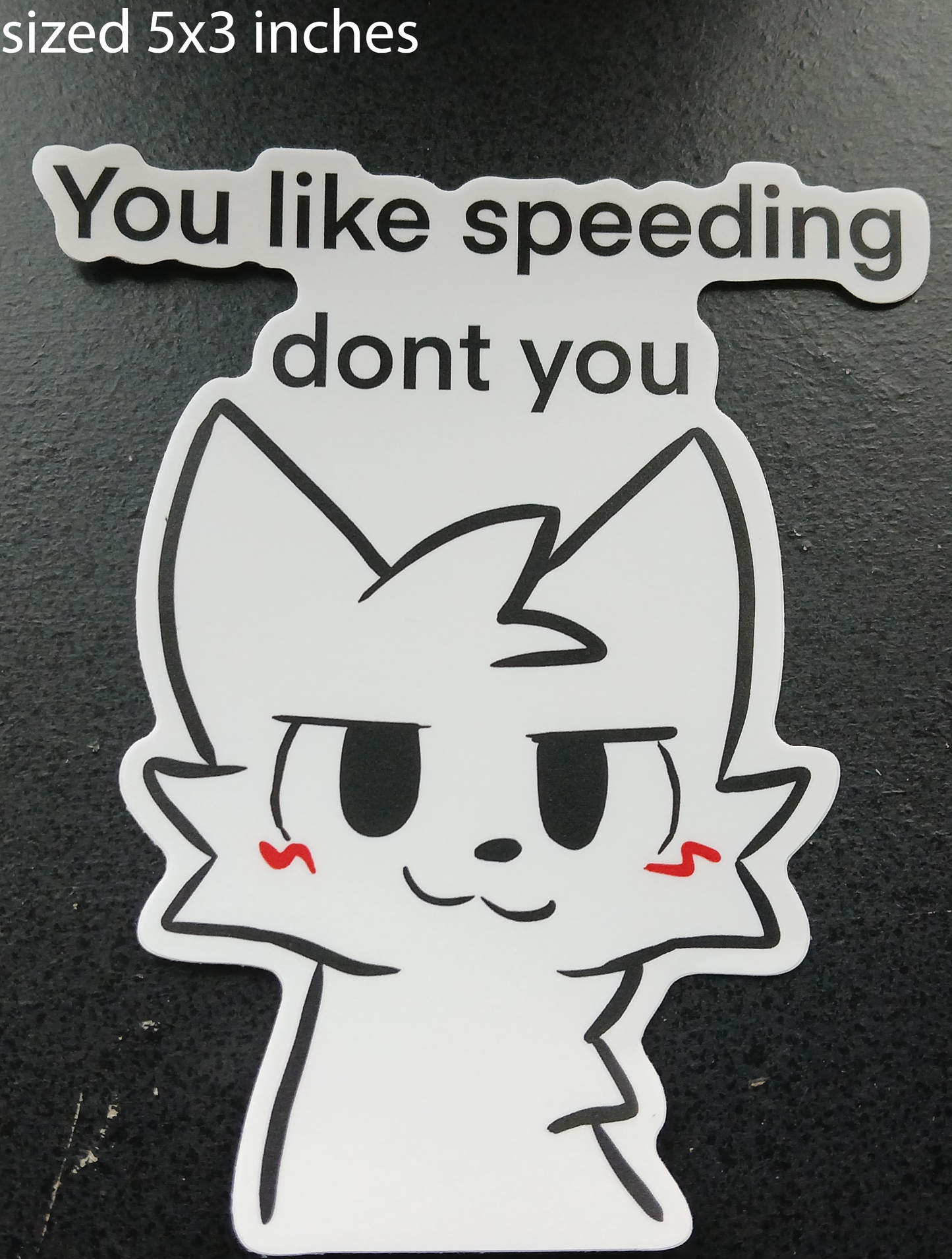 You Like Speeding Dont You?